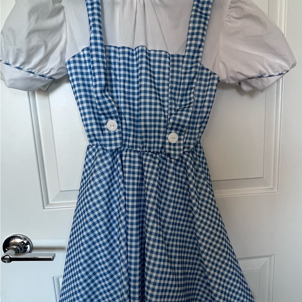Halloween Cosplay Dorothy Wizard of Oz Blue and White Gingham Dress